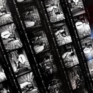 麻豆无🈚🈚🈚吗码
